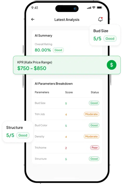 Score & Price Range