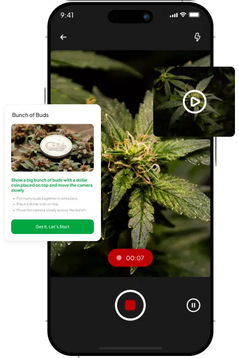 Record Your Sample